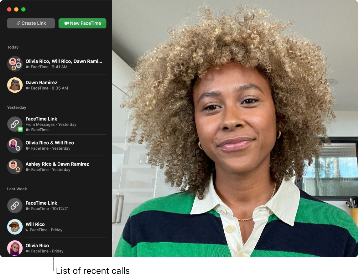 A FaceTime window showing how to make a video or audio call, use the search field to enter or search for contact details, and view the list of recent calls.