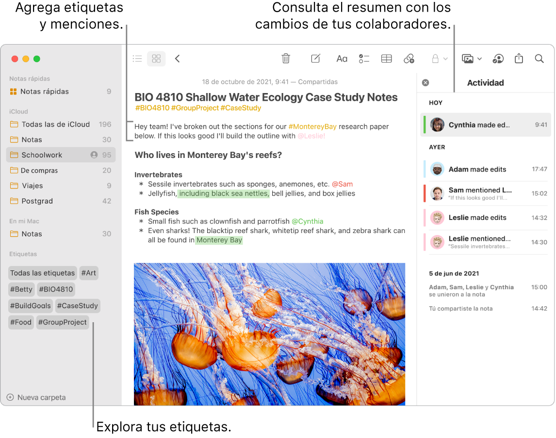 Una ventana de Notas en la visualización como galería con texto indicando las etiquetas en la barra lateral. En la nota principal, hay texto que indica una etiqueta y una mención. En la parte derecha hay una lista de actividades con texto indicando la visualización de un resumen de las actualizaciones.