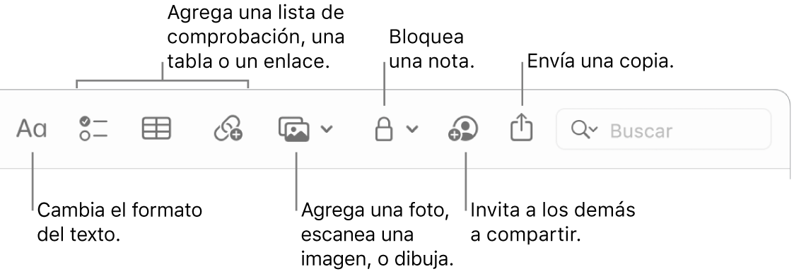 La barra de herramientas de Notas con texto indicando las herramientas de formato del texto, lista de comprobación, tabla, enlace, fotos/medios, bloqueo, compartir y enviar una copia.