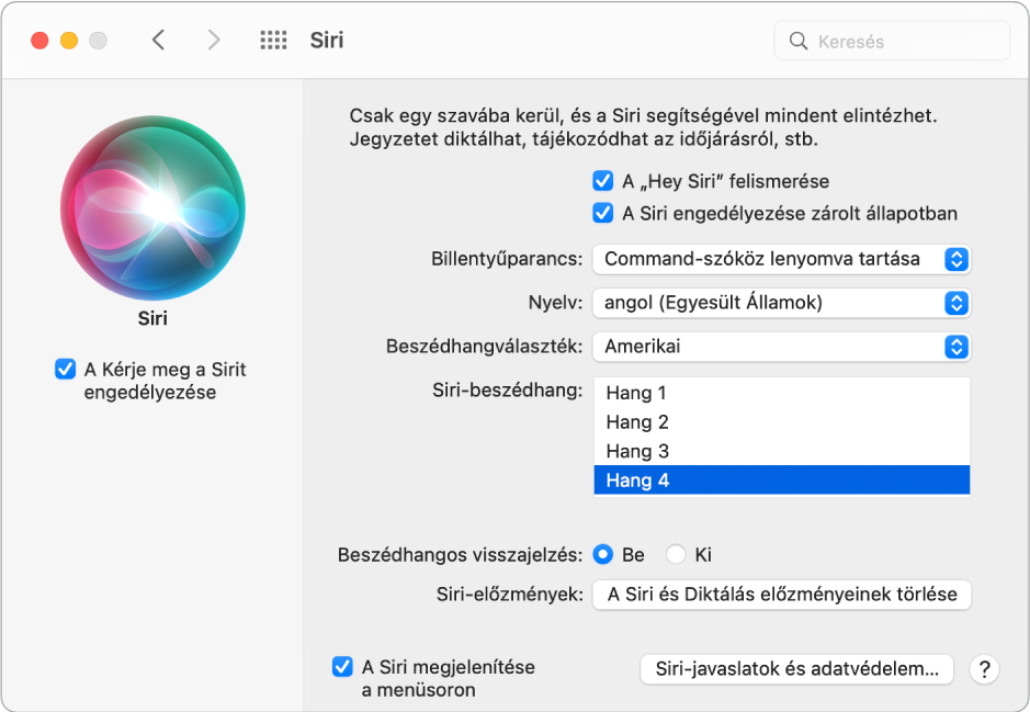 A Siri-beállítások ablaka, amelynek bal oldalán be van jelölve A Siri megkérdezésének engedélyezése jelölőnégyzet, jobb oldalán pedig számos különböző beállítás található a Siri testreszabásához, beleértve a „Hey Siri figyelése” beállítást.