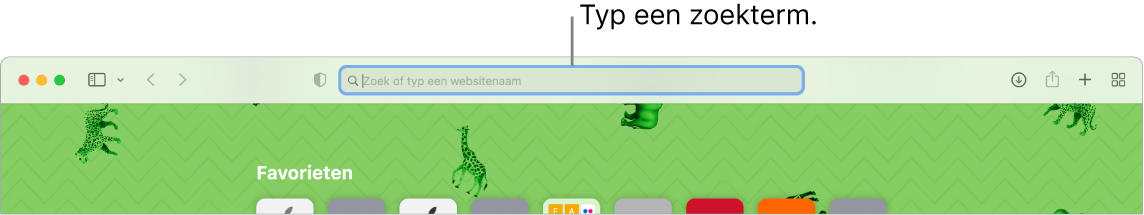 Een deel van een Safari-venster met een bijschrift voor het zoekveld boven in het venster.