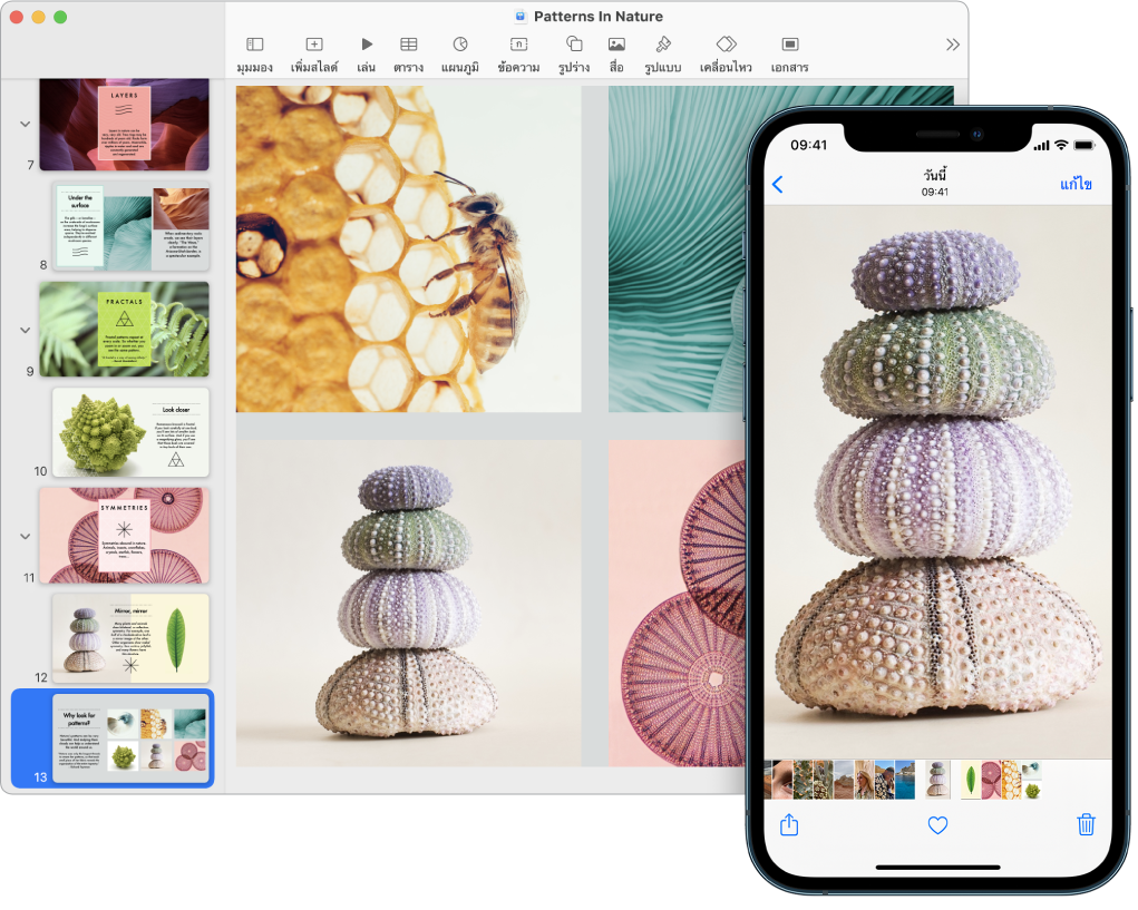 iPhone ที่แสดงรูปภาพ ถัดไปมี Mac ที่แสดงรูปภาพเดียวกันหลังจากถูกวางลงในเอกสาร Pages