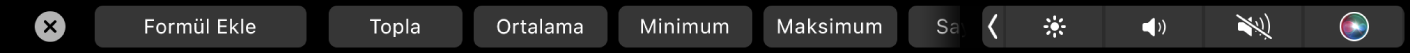 Formül düğmelerinin görüntülendiği Numbers Touch Bar’ı. Bunların arasında toplam, ortalama, minimum ve maksimum bulunur.
