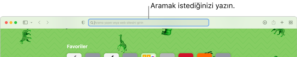 Pencerenin en üstünde arama alanı belirtme çizgisi ile kırpılmış bir Safari penceresi.