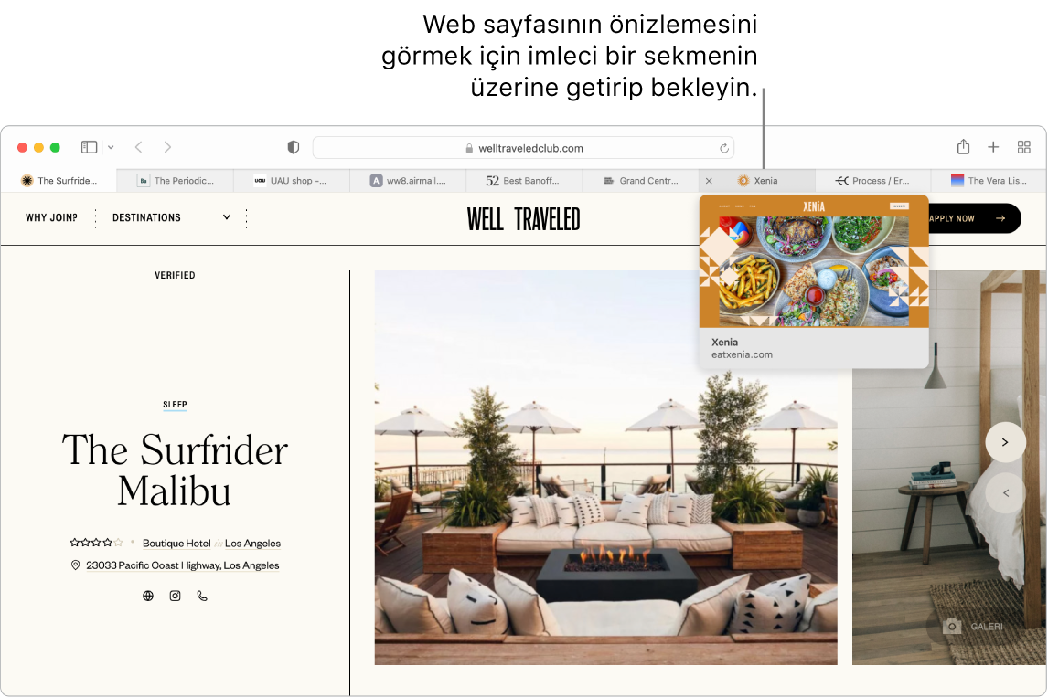 Gezmiş Görmüş başlıklı etkin bir web sayfası, 9 ek sekme ve “Web sayfasının bir önizlemesini görmek için imleci bir sekmenin üzerinde tutun” metni ile Xenia sekmesinin önizlemesine belirtme çizgisi içeren bir Safari penceresi.