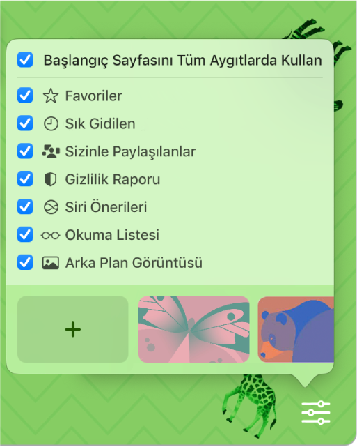 Favoriler, Sık Ziyaret Edilen, Gizlilik Raporu, Siri Önerileri, Okuma Listesi ve Arka Plan Görüntüsü onay kutularıyla Safari’yi Özelleştir açılır menüsü.