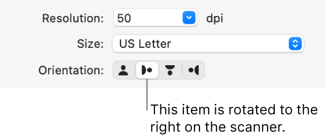 The Orientation buttons in the Scanner window. A highlighted button indicates that an item is rotated to the right on the scanner.