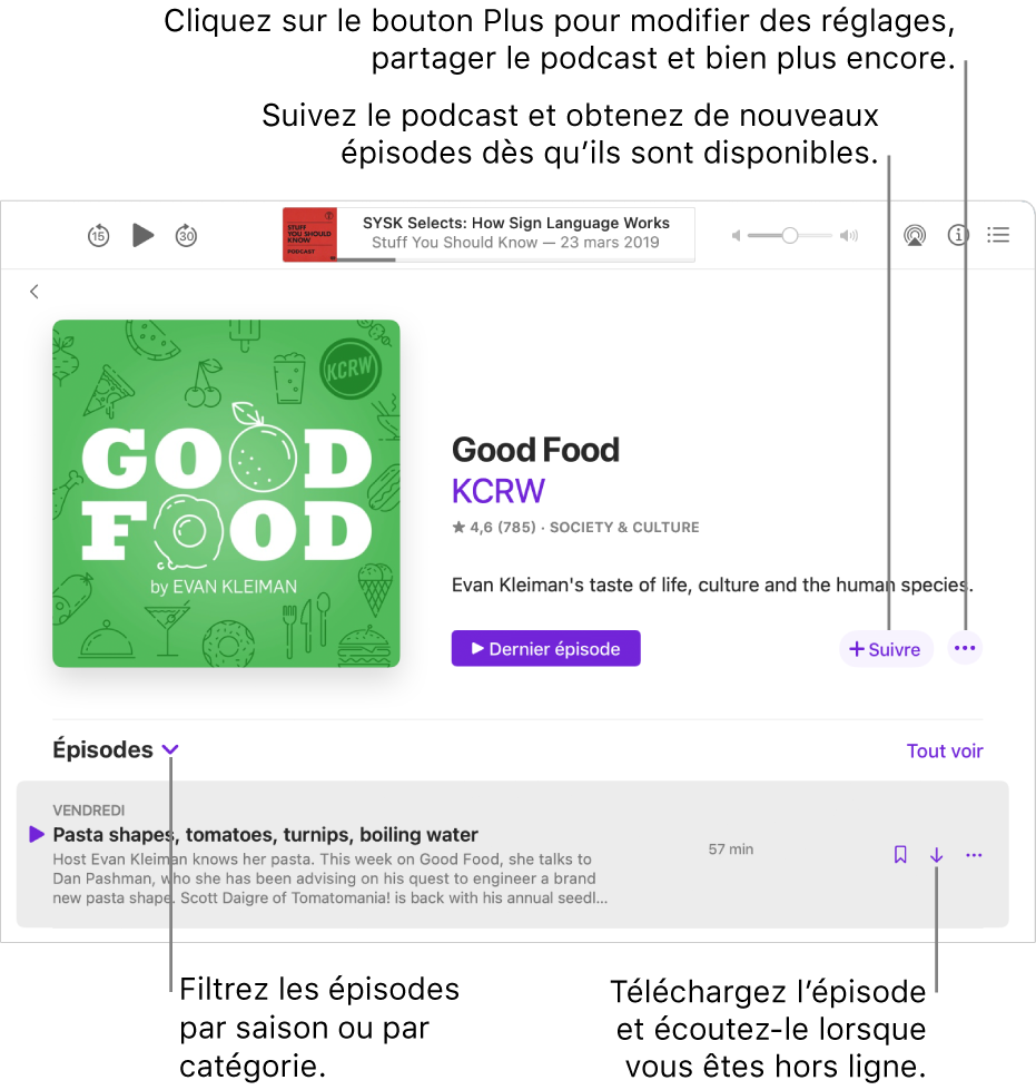 Une page d’informations pour un podcast. Cliquez sur Suivre pour télécharger les nouveaux épisodes dès qu’ils sont disponibles. Cliquez sur le bouton Plus pour modifier les réglages, partager le podcast, et plus encore. Filtrez les épisodes par saison ou par catégorie. Téléchargez l’épisode si vous souhaitez l’écouter lorsque vous n’êtes pas connecté à Internet.