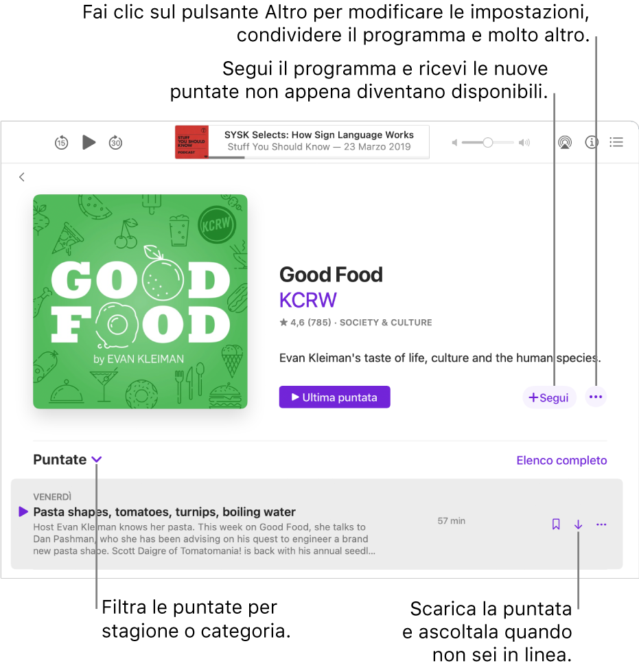 Pagina con le informazioni su un podcast. Fai clic su Segui per scaricare le nuove puntate non appena sono disponibili. Fai clic sul pulsante Altro per modificare le impostazioni, condividere il programma e molto altro. Filtra le puntate in base alla stagione o alla categoria. Scarica la puntata che vuoi ascoltare quando non disponi di una connessione a internet attiva.