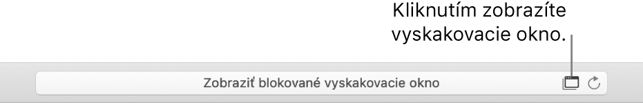 Pole Dynamického Vyhľadávania zobrazujúce ikonu napravo, aby povolila vyskakovacie okná.