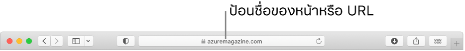 ช่องค้นหาอัจฉริยะของ Safari ที่ซึ่งคุณสามารถป้อนชื่อหรือ URL ของหน้าเว็บได้