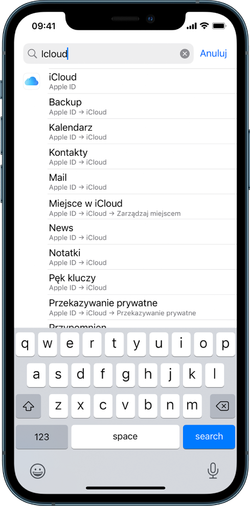 Ekran wyszukiwania ustawień. U góry ekranu widoczne jest pole wyszukiwania. W polu wyszukiwania wpisana jest fraza „iCloud”, a niżej wyświetlane są znalezione ustawienia.
