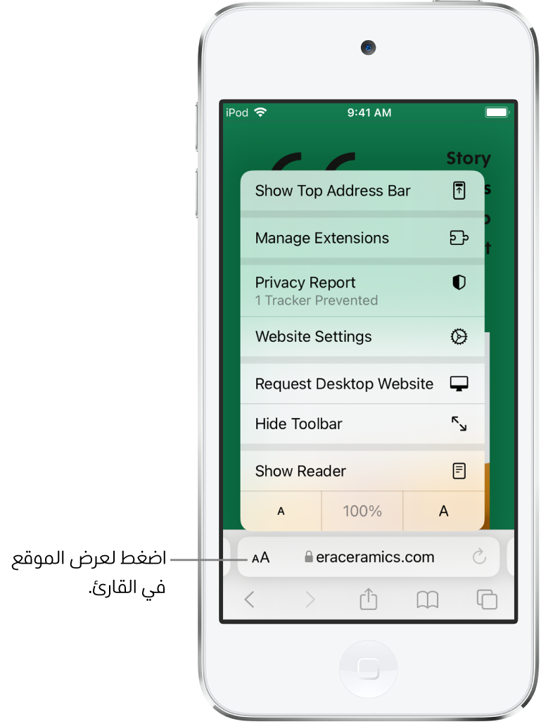 قائمة إعدادات الصفحة. في أسفل القائمة يوجد خيار إظهار القارئ.