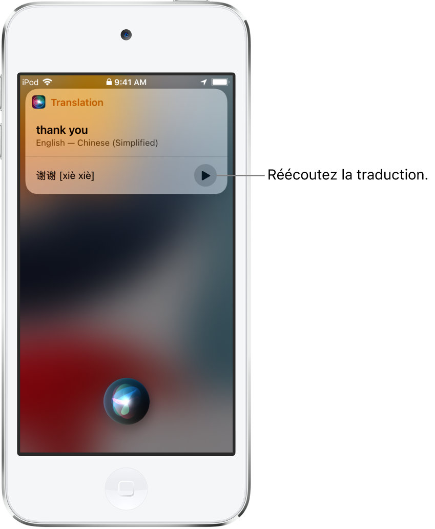 Siri affiche une traduction de l’expression anglaise « thank you » en mandarin. Un bouton situé à droite de la traduction relance l’audio de la traduction.