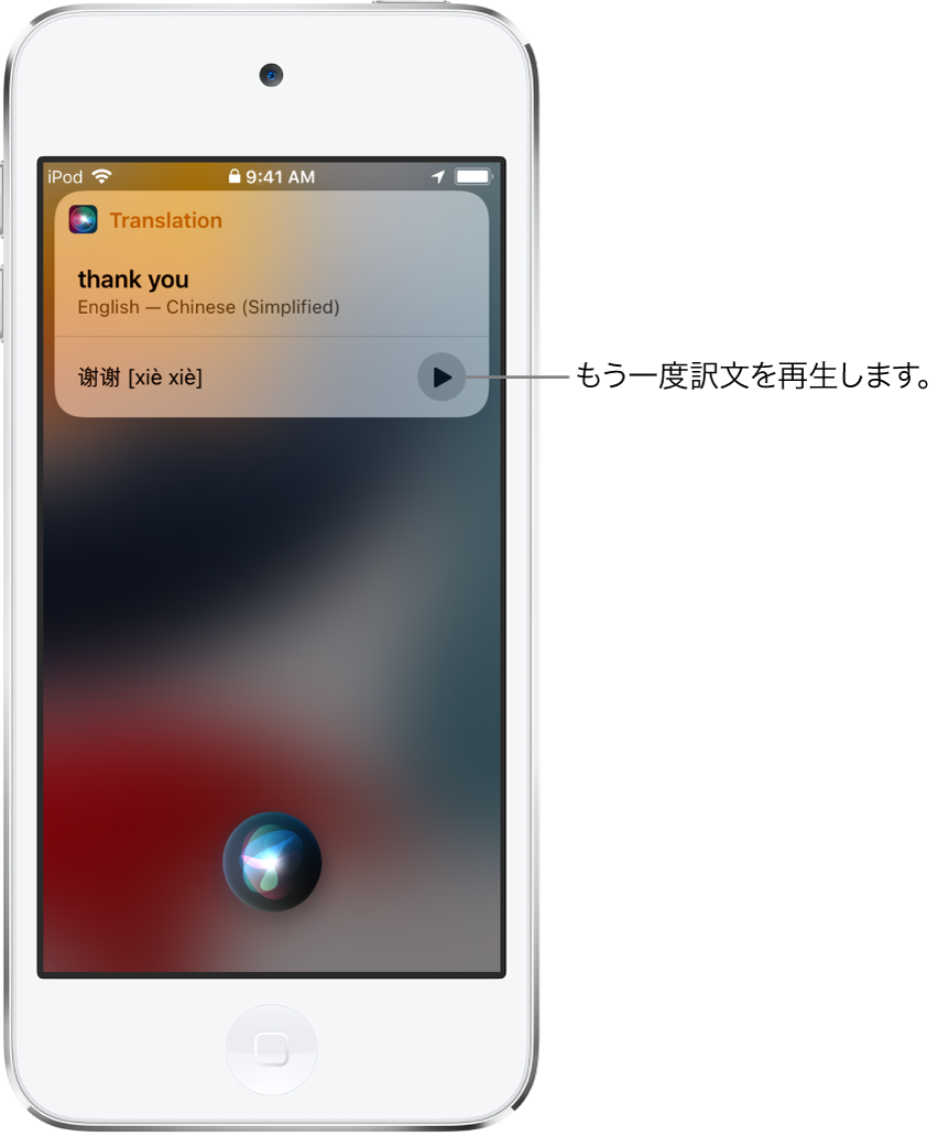 Siriは日本語のフレーズ「ありがとう」の中国語訳を表示します。翻訳結果の右側のボタンをタップすると、訳文が音声でもう一度再生されます。