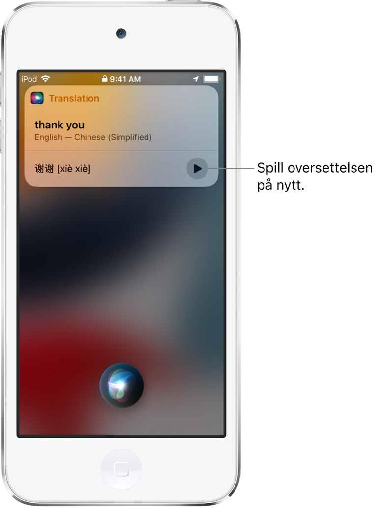 Siri viser en oversettelse av det engelske uttrykket «thank you» til mandarin. En knapp til høyre for oversettelsen spiller av lyden på oversettelsen igjen.