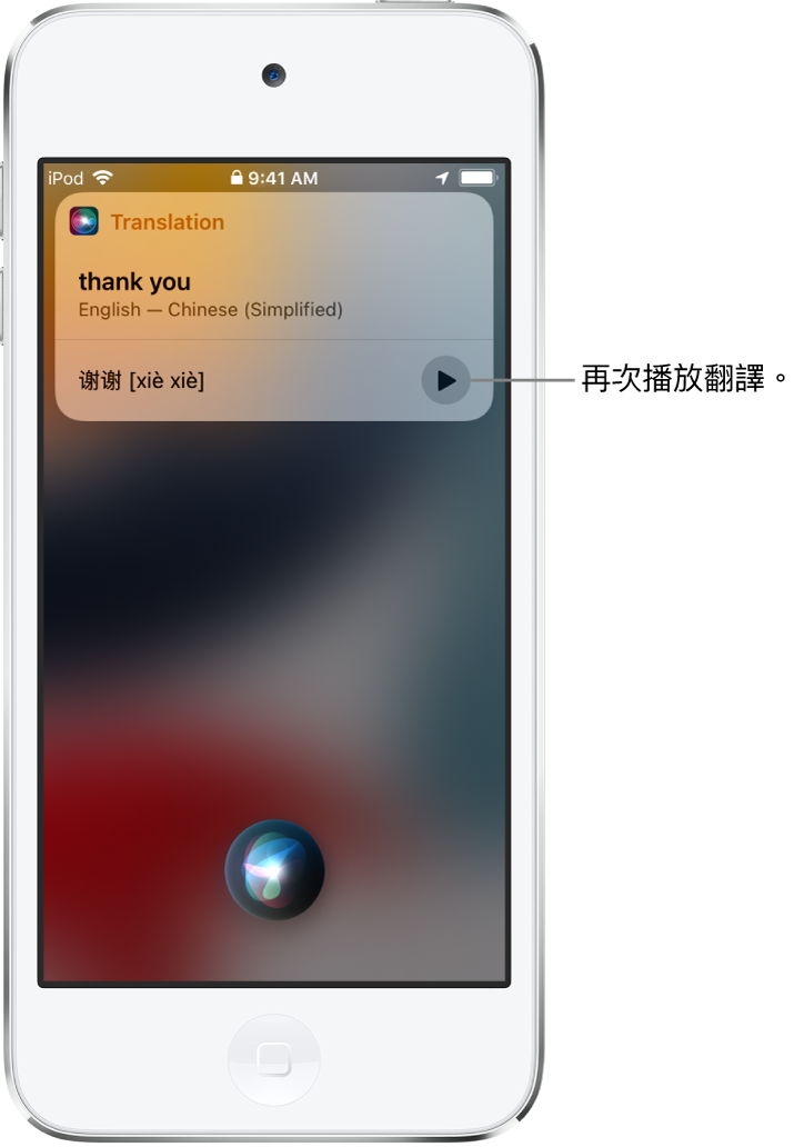 Siri 將英語詞語「謝謝」翻譯成中文。翻譯右邊的按鈕可重新播放翻譯的音訊。