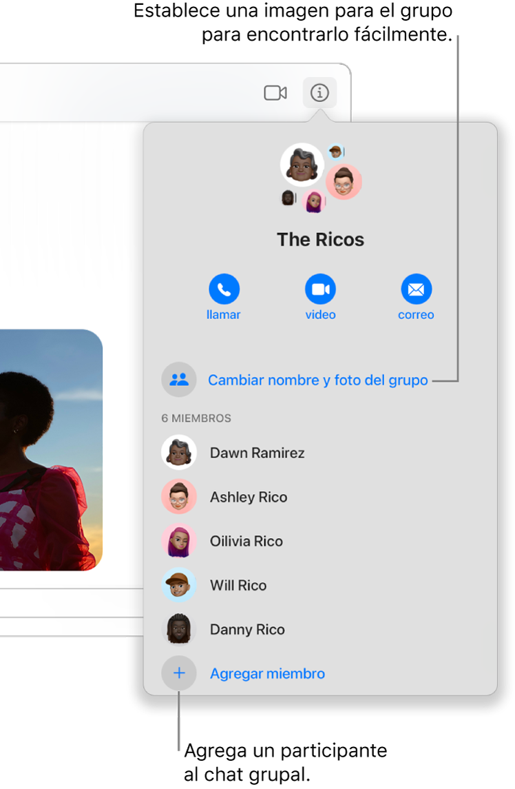Vista de Detalles, que aparece después de hacer clic en el botón Detalles en una conversación grupal. La opción “Agregar miembro” se muestra debajo del nombre del último participante de la lista. Puedes cambiar el nombre del grupo y la foto que está arriba de los nombres de los participantes.
