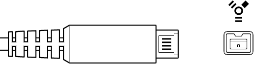 FireWire 800-Stecker