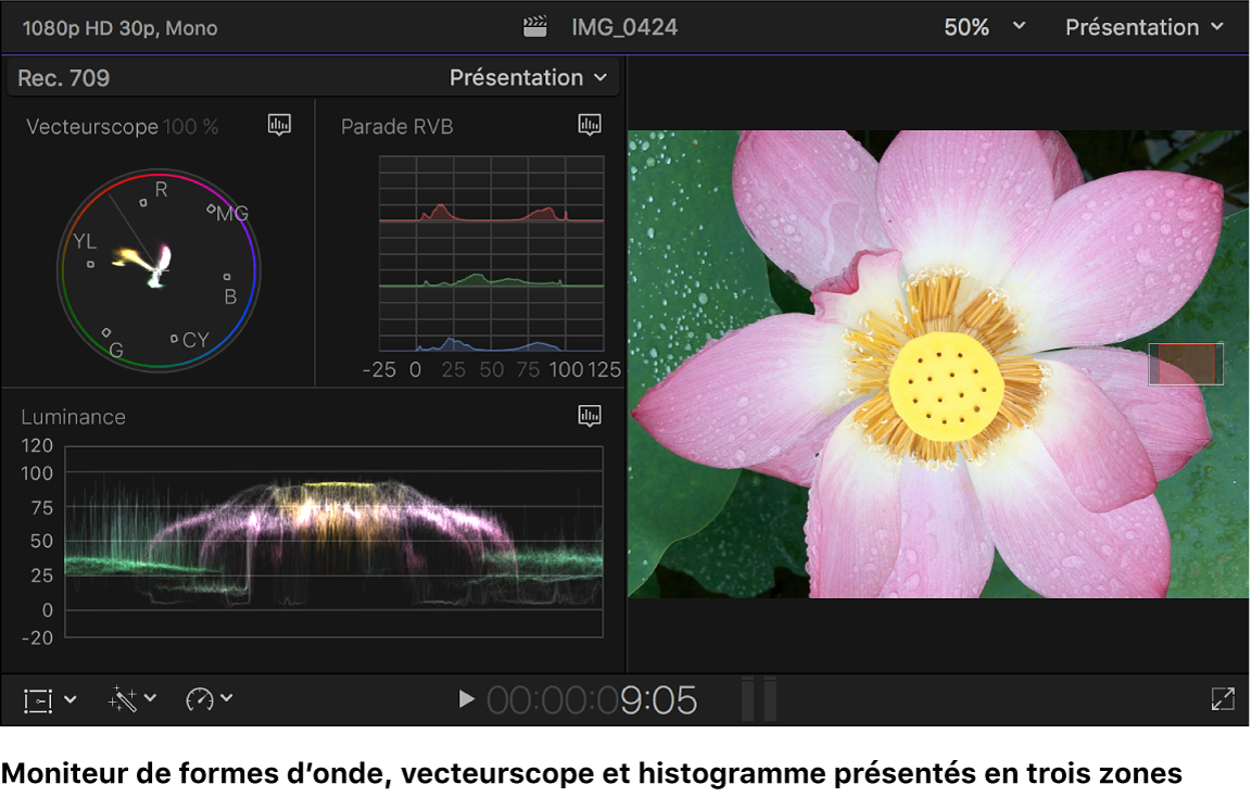 Vecteurscope, histogramme Parade RVB et oscilloscope de luminance affichés à gauche du visualiseur