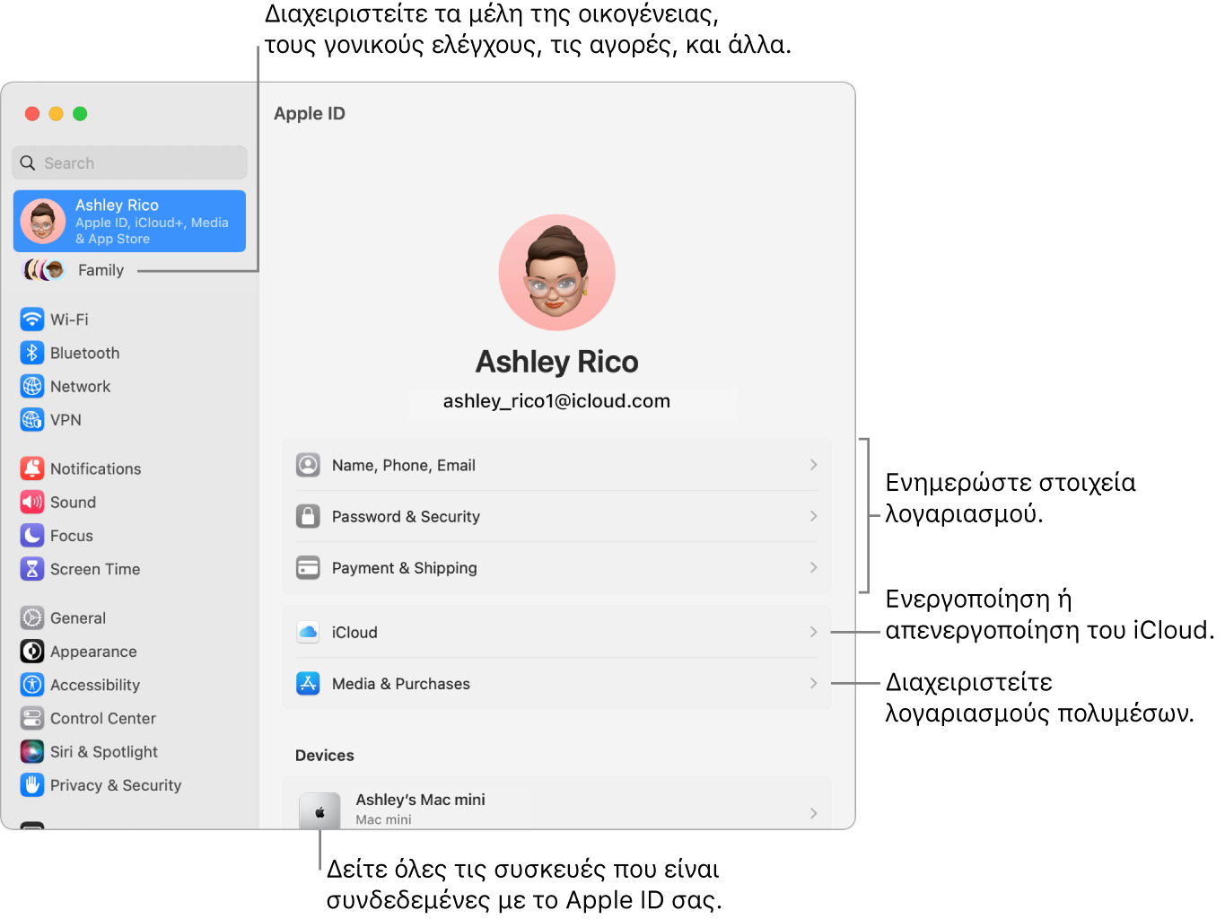 Οι ρυθμίσεις Apple ID στις Ρυθμίσεις συστήματος με επεξηγήσεις για ενημέρωση των στοιχείων λογαριασμού, ενεργοποίηση ή απενεργοποίηση δυνατοτήτων iCloud, διαχείριση λογαριασμών πολυμέσων, και η Οικογένεια όπου μπορείτε να διαχειριστείτε τα μέλη οικογένειας, τον γονικό έλεγχο, τις αγορές και πολλά άλλα.