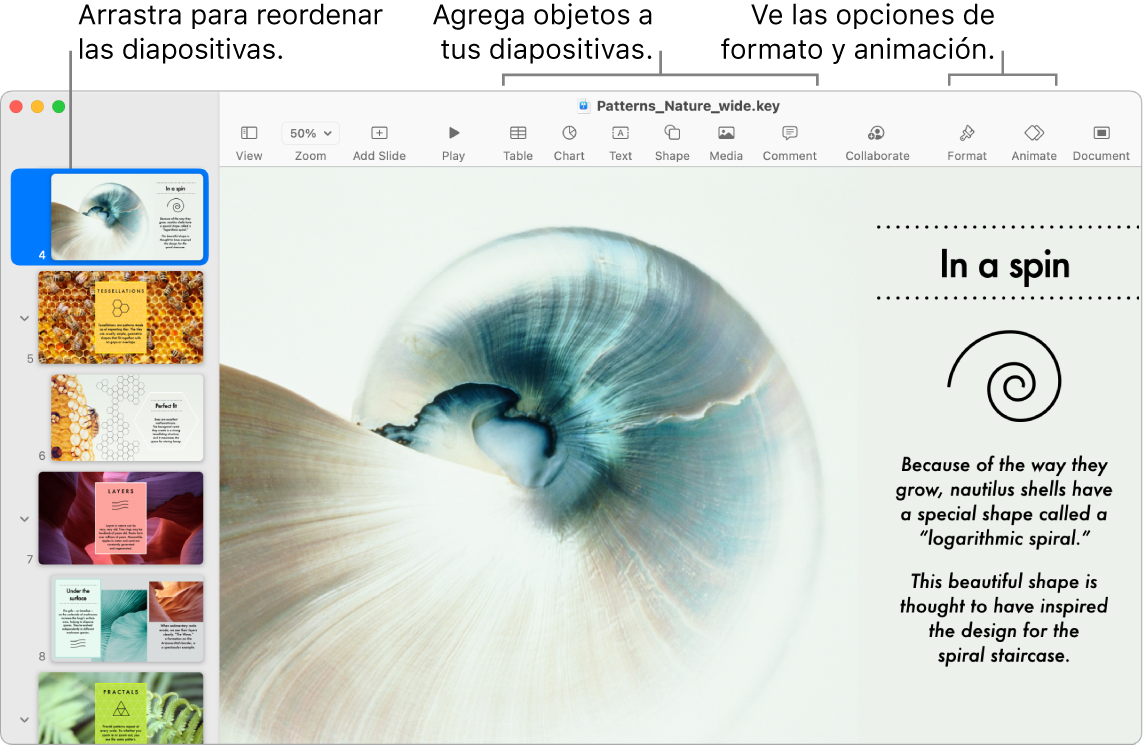 Una ventana de Keynote mostrando el navegador de positivas a la izquierda y cómo se reorganizan las diapositivas; la barra de herramientas y sus herramientas de edición está en la parte superior, el botón Colaborar se encuentra cerca de la esquina superior derecha, y los botones Formato y Animar se encuentran en el lado derecho.