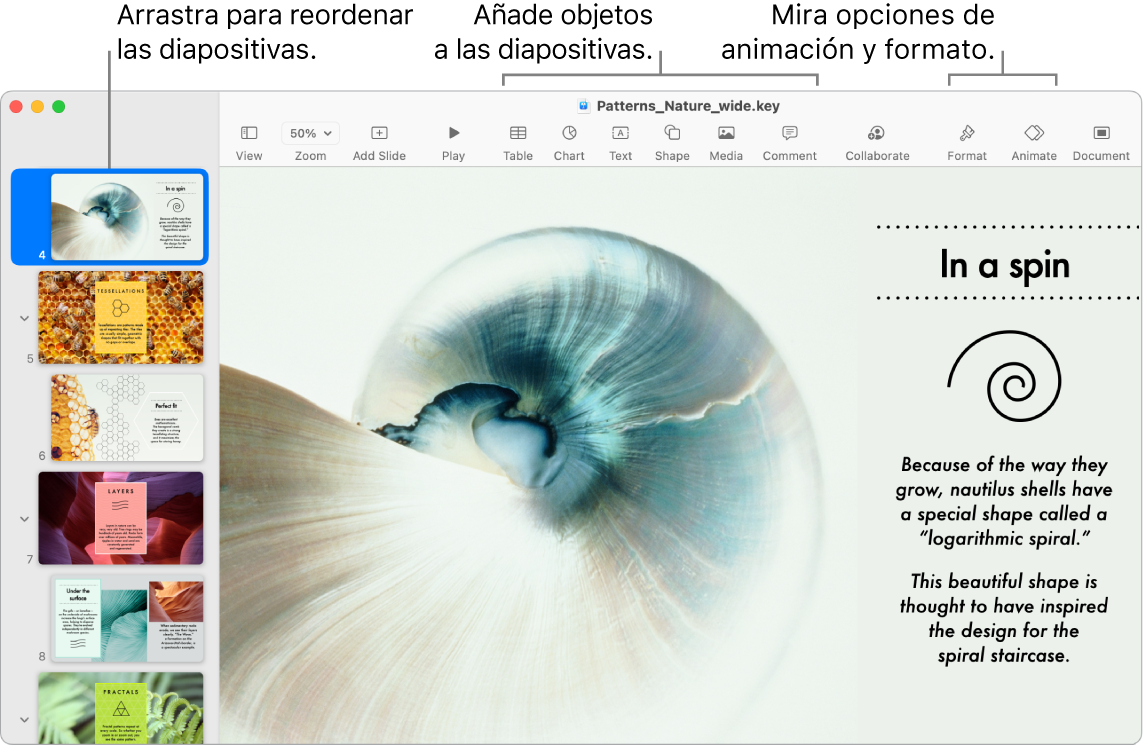 Una ventana de Keynote que muestra el navegador de diapositivas en el lado izquierdo y cómo reordenar diapositivas, la barra de herramientas y sus herramientas de edición en la parte superior, el botón Colaborar cerca de la parte superior derecha y los botones Formato y Animación en la parte derecha.