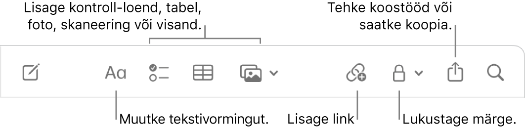 Tööriistariba Notes väljaviikudega tekstivormingu, ülesandeloendi, tabeli, lingi, fotode/meedia, lukustamise, jagamise ning kopeerimise tööriistadele.