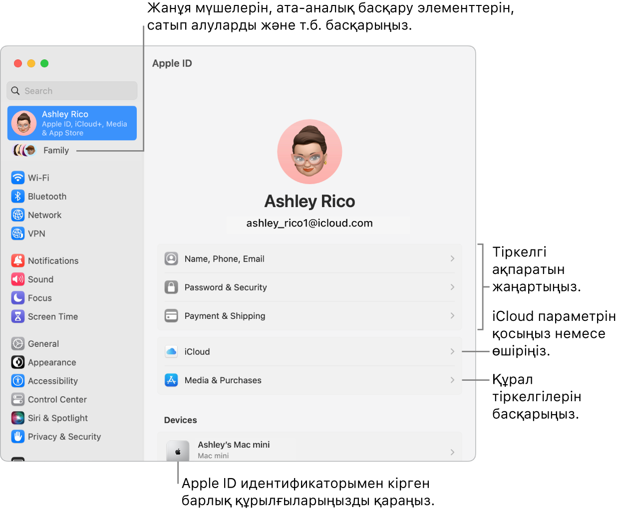Тіркелгі ақпаратын жаңарту, iCloud мүмкіндіктерін қосу немесе өшіру, медиа тіркелгілерін басқару үшін тілше деректері бар System Settings терезесіндегі және ішінде жанұя мүшелерін, ата-аналық бақылауларды, сатып алуларды және т.б. басқаруға болатын Family терезесіндегі Apple ID параметрлері.