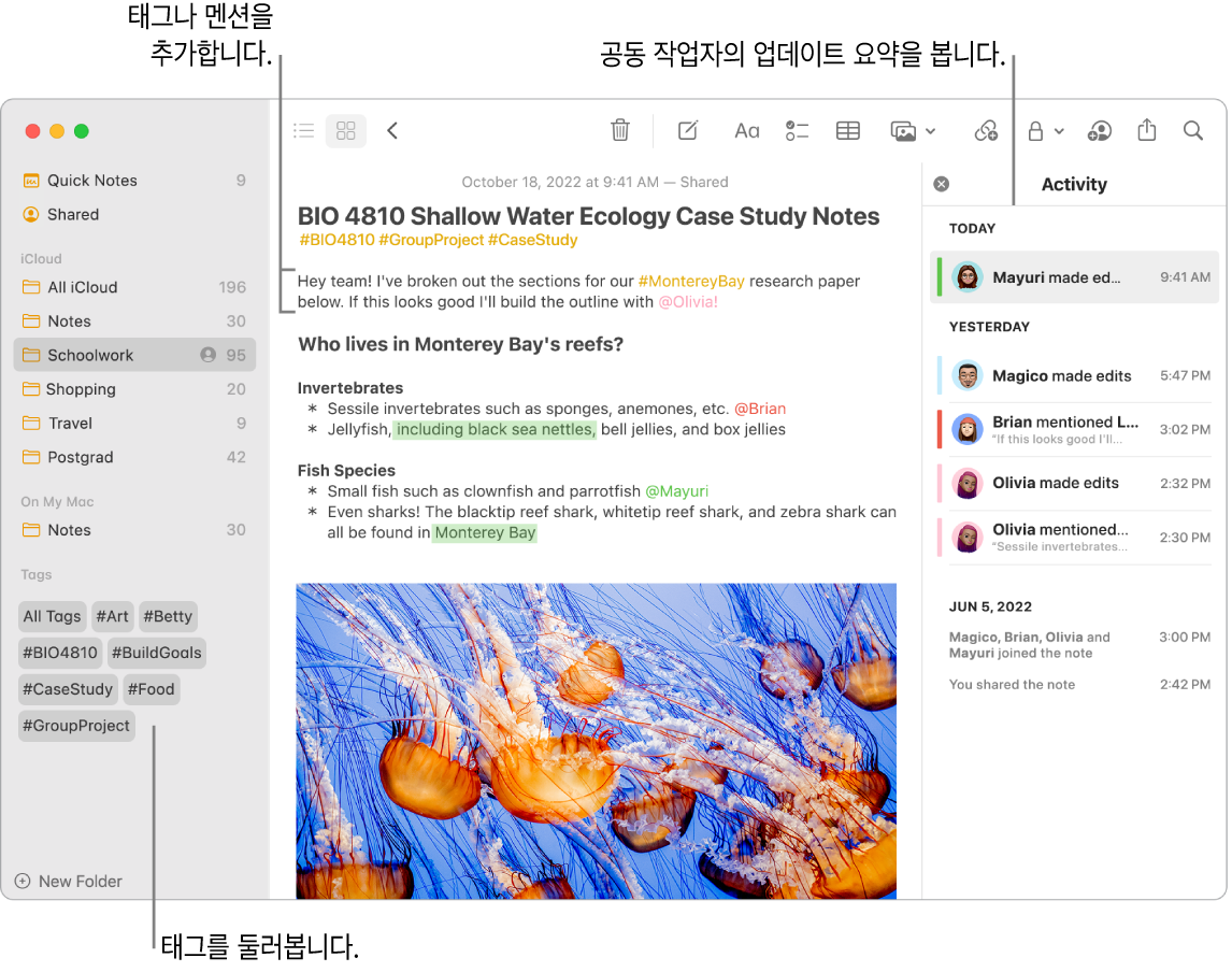 사이드바에 태그에 대한 설명이 있는 갤러리 보기의 메모 윈도우. 주 메모에는 태그 및 멘션에 대한 설명이 있음. 오른쪽에는 업데이트 요약 보기에 대한 설명이 있는 활동 목록이 있음.