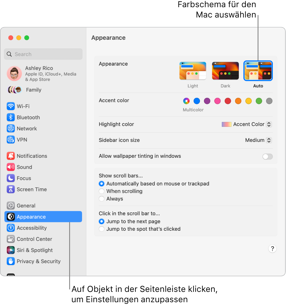 Das Fenster „Systemeinstellungen“