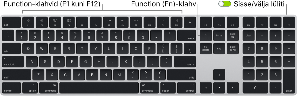 Magic Keyboardi alumises vasakus nurgas on klahv Function (Fn) ning ülemises paremas nurgas sisse-/väljalülitamise lüliti.