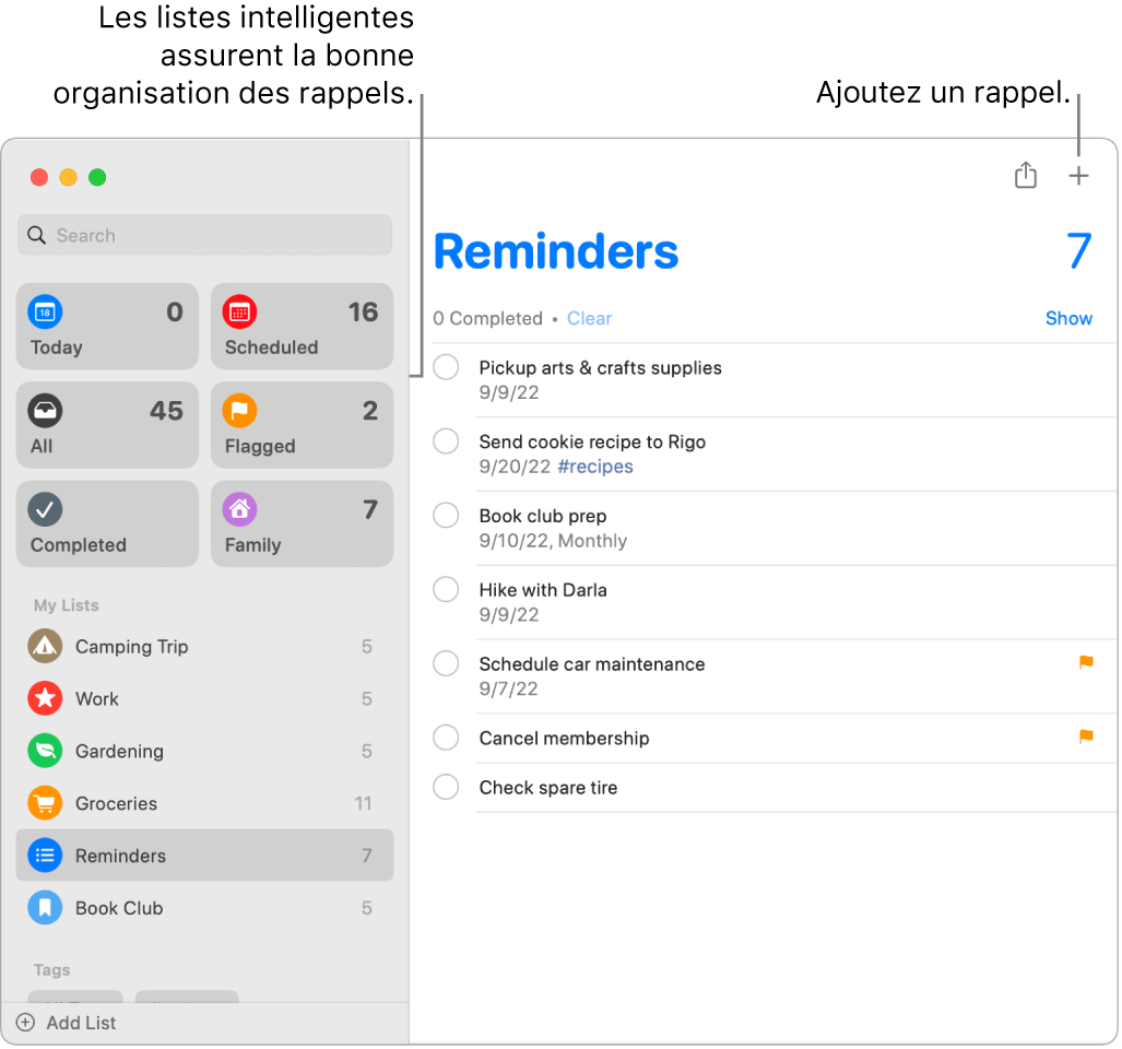 Fenêtre de Rappels avec des listes intelligentes sur la gauche, et d’autres rappels et listes en dessous. Le pointeur se trouve sur un rappel. Les listes intelligentes et le bouton « Ajouter un nouveau rappel » sont accompagnés de légendes.
