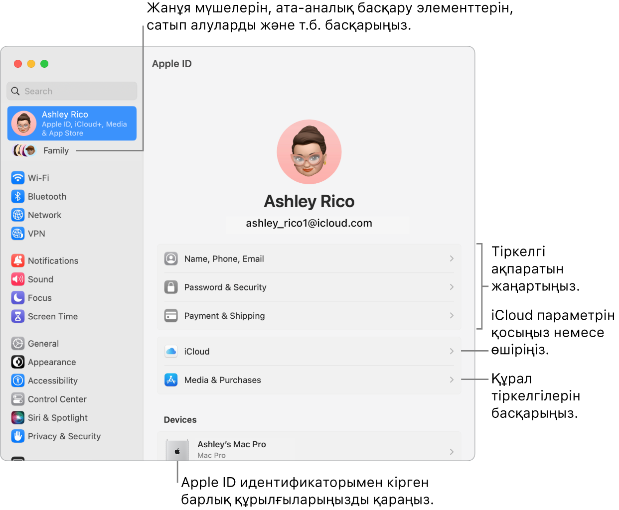 Тіркелгі ақпаратын жаңарту, iCloud мүмкіндіктерін қосу немесе өшіру, медиа тіркелгілерін басқару үшін тілше деректері бар System Settings терезесіндегі және ішінде жанұя мүшелерін, ата-аналық бақылауларды, сатып алуларды және т.б. басқаруға болатын Family терезесіндегі Apple ID тақтасы.