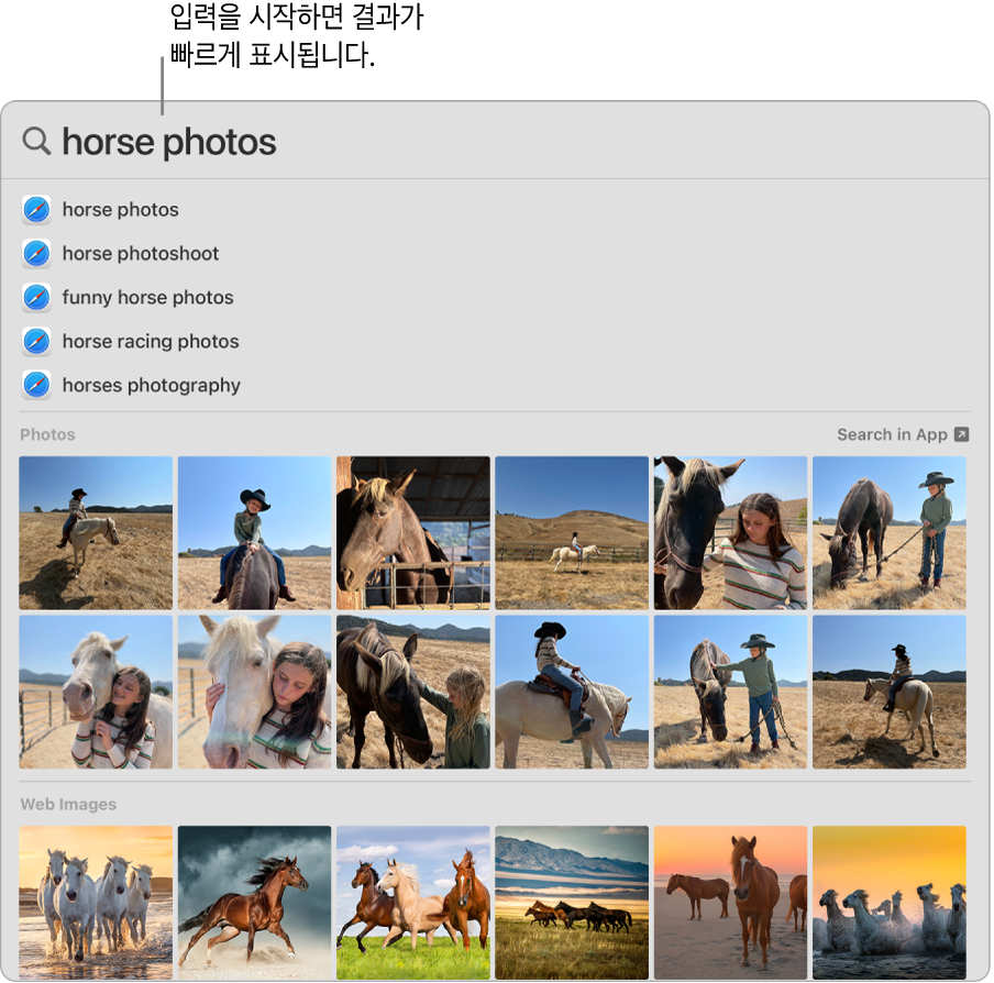 ‘말 사진’에 대한 검색 결과를 보여주는 Spotlight 윈도우.