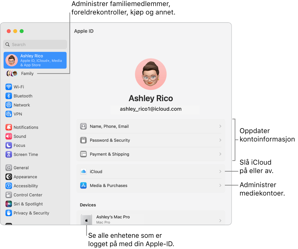 Apple-ID-panelet i Systeminnstillinger med forklaringer for hvordan du oppdaterer kontoinformasjon, slår av eller på iCloud-funksjoner, administrerer mediekontoer, og Familie, der du kan administrere familiemedlemmer, foreldrekontroller, kjøp og mer.