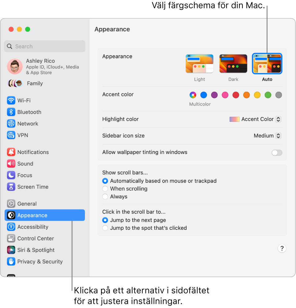 Nastavitve Appearance v možnosti System Settings.