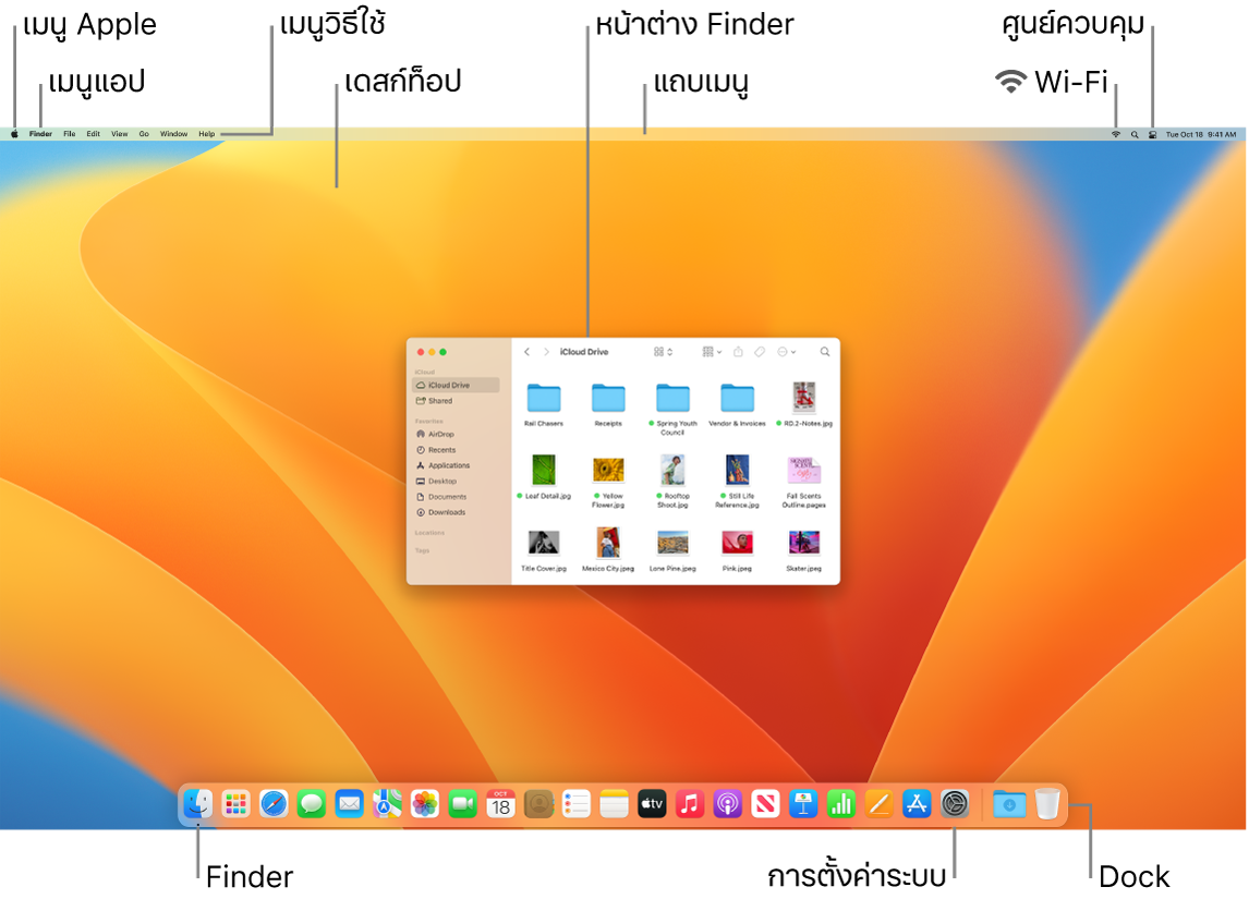 หน้าจอ Mac ที่แสดงเมนู Apple, เมนูแอป, เมนูวิธีใช้, เดสก์ท็อป, แถบเมนู, หน้าต่าง Finder, ไอคอน Wi-Fi, ไอคอนศูนย์ควบคุม, ไอคอน Finder, ไอคอนการตั้งค่าระบบ และ Dock