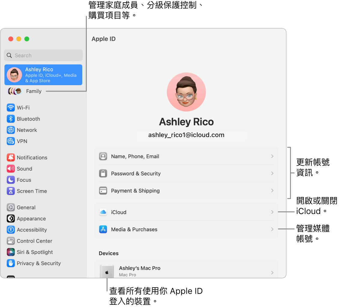 「系統設定」中的 Apple ID 面板包含更新帳號資訊、開啟或關閉 iCloud 功能、管理媒體帳號以及可管理家庭成員、分級保護控制、購買項目和更多內容的「家人共享」的說明框。