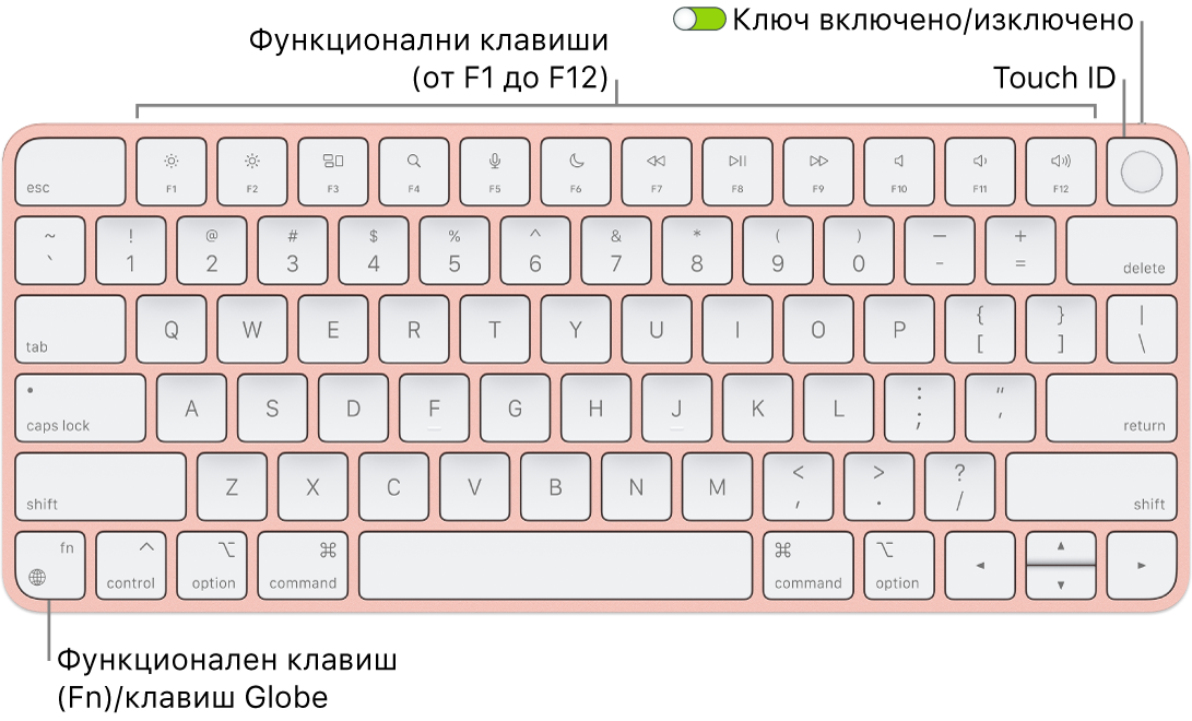 Клавиатурата Magic Keyboard с Touch ID, която показва редицата с функционални клавиши, Touch ID в горния край и клавиша Function (Fn)/Globe в долния ляв ъгъл.