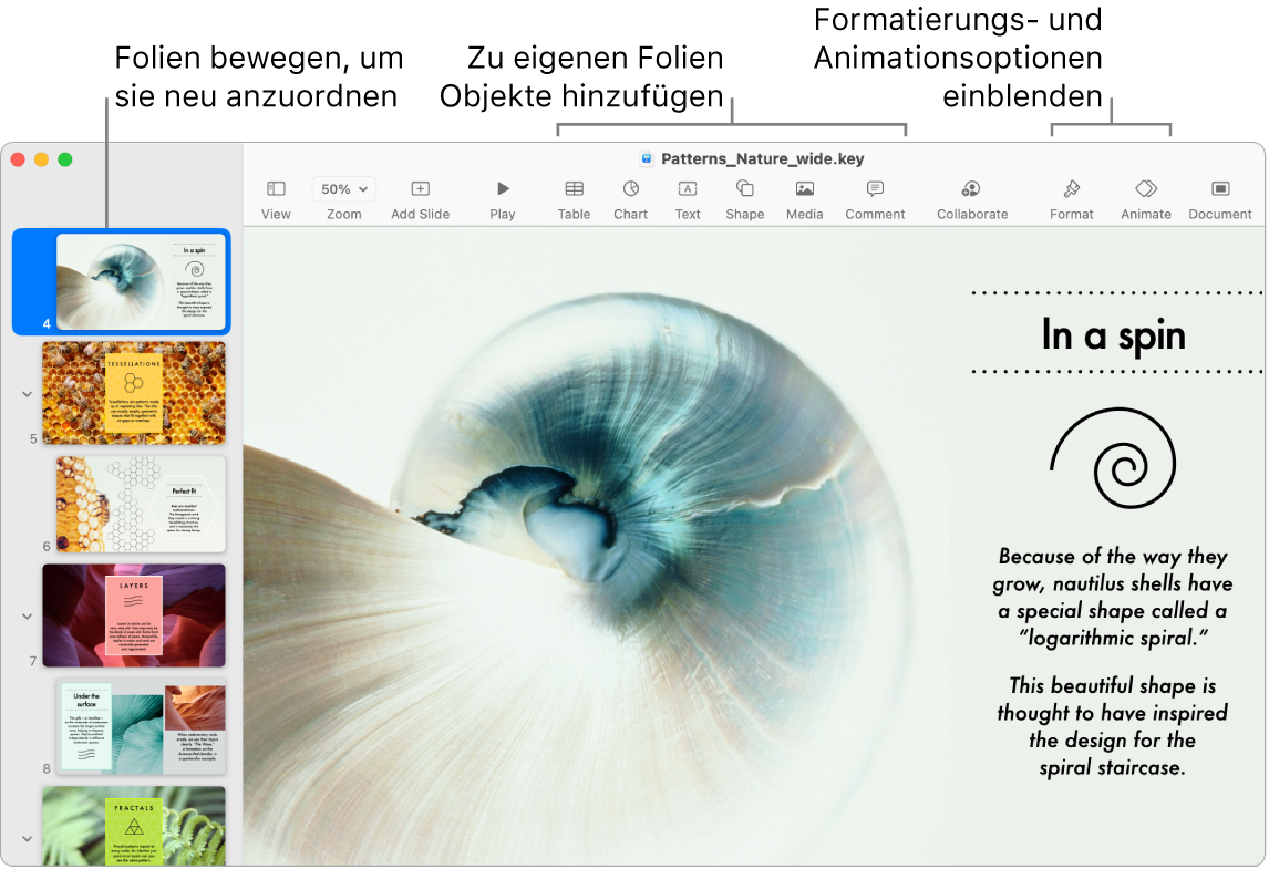 Ein Keynote-Fenster mit dem Foliennavigator links und Informationen zum Neuanordnen von Folien, der Symbolleiste und den Bearbeitungswerkzeugen oben, der Taste „Zusammenarbeiten“ oben rechts und den Tasten „Format“ und „Animieren“ rechts.