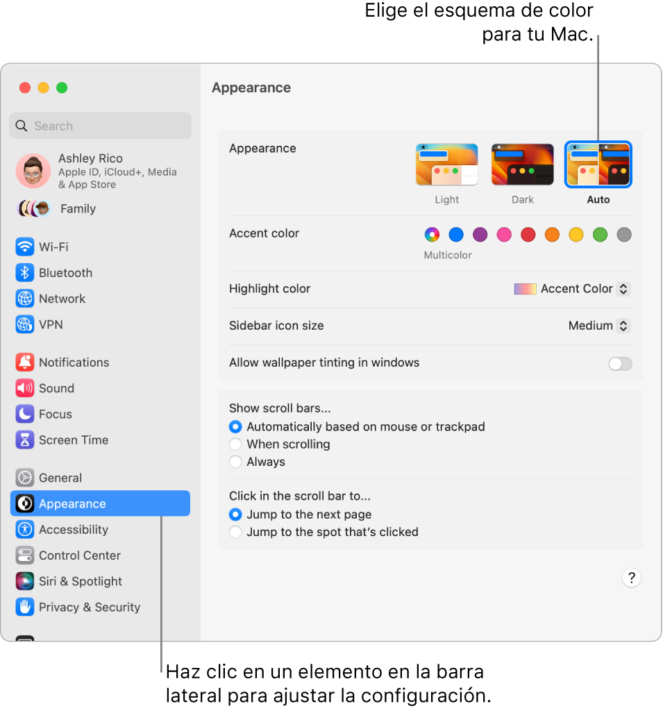 Las opciones de Aspecto en Configuración del Sistema.