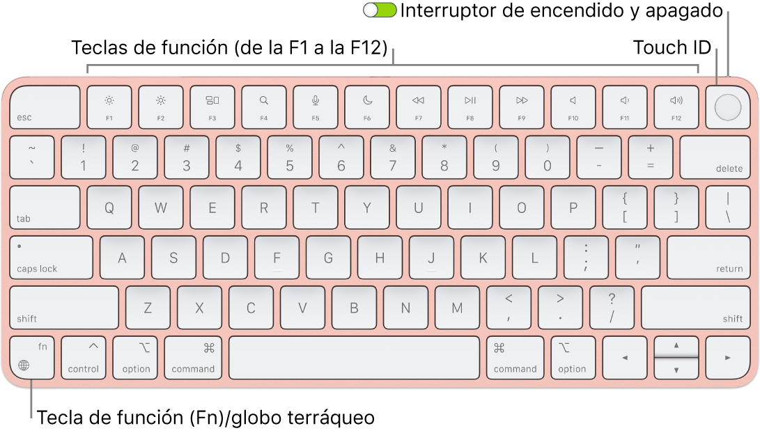 Magic Keyboard con Touch ID, con la fila de teclas de función y Touch ID en la parte superior, y la tecla del globo terráqueo o función (Fn) en la esquina inferior izquierda.