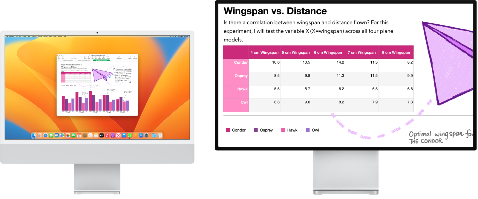 Scherm voor zoomen is actief op het secundaire beeldscherm, terwijl het schermformaat op de iMac normaal blijft.