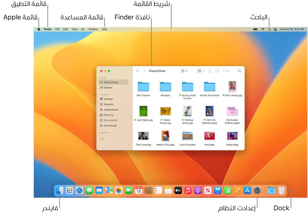 شاشة Mac تعرض قائمة Apple وقائمة التطبيق وقائمة المساعدة ونافذة فايندر وشريط القائمة وأيقونة الباحث وأيقونة فايندر وأيقونة إعدادات النظام وشريط الأيقونات.