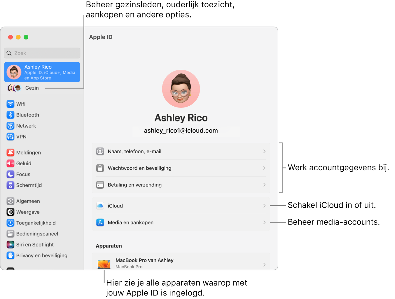 De instellingen voor de Apple ID in Systeeminstellingen, met bijschriften voor de opties waarmee je je accountgegevens bijwerkt, iCloud-voorzieningen in- of uitschakelt, media-accounts beheert en gezinsinstellingen wijzigt om gezinsleden, ouderlijk toezicht, aankopen en andere opties te beheren.