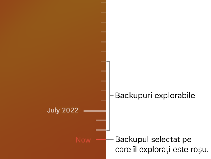 Cronologia backupurilor Time Machine.