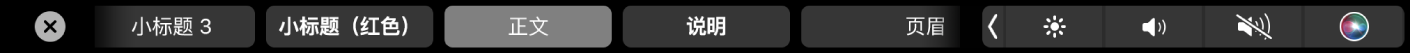 显示段落格式样式（包括大标题、小标题和说明）的 Pages 文稿触控栏。