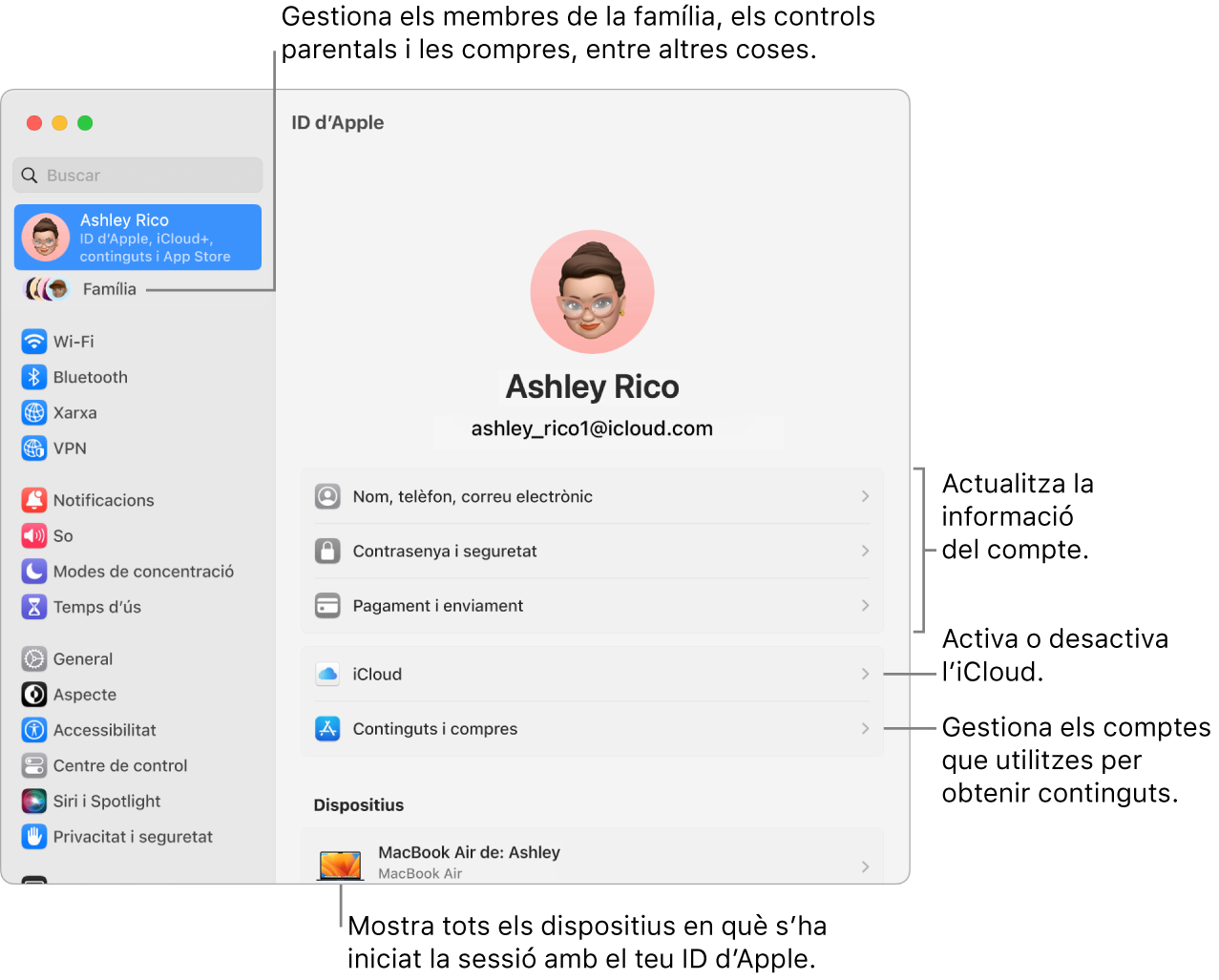 La configuració de l’ID d’Apple a l’app Configuració del Sistema amb llegendes a les opcions per actualitzar la informació del compte, activar i desactivar les funcions de l’iCloud, gestionar comptes de contingut multimèdia i “En família”, on es poden gestionar els membres de la família, els controls parentals, les compres i molt més.