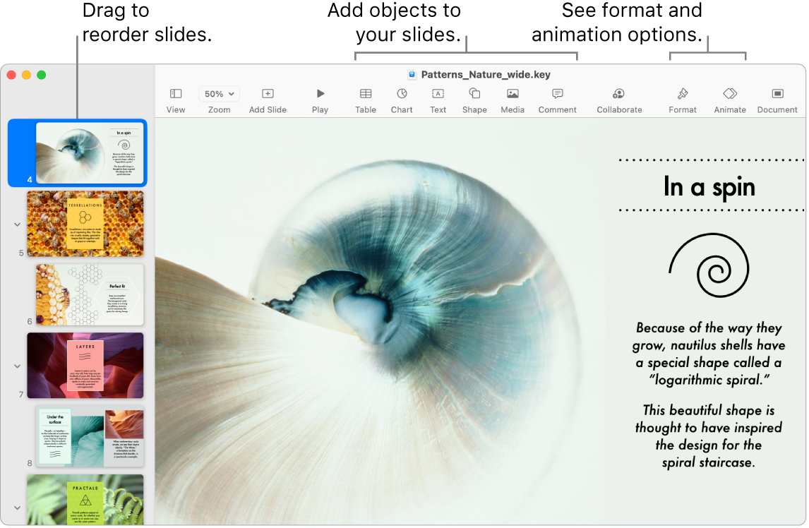 A Keynote window showing the slide navigator on the left and how to reorder slides, the toolbar and its editing tools at the top, the Collaborate button near the top right, and the Format and Animate buttons on the right.